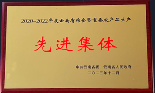 2020-2022年度云南省糧食暨重要農(nóng)產(chǎn)品生產(chǎn)先進(jìn)集體